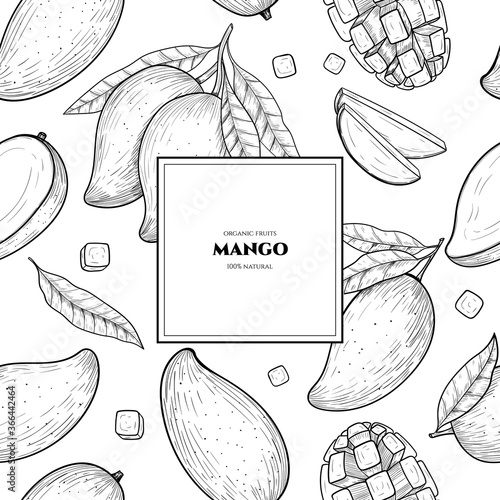 Vector frame with mango. Hand drawn. Vintage style