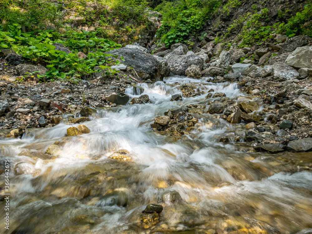 Fototapeta premium Water stream flowing between rocks into the forest. Water spring in Bucegi National Park.
