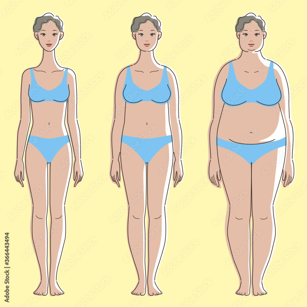 Slender, medium, and overweight. Front whole body of brown skinned female. Concept of health, beauty, and diet. Vector illustration. Slender, medium, and overweight. Front whole body of brown skinned female. Concept of health, beauty, and diet. Vector illustration.
