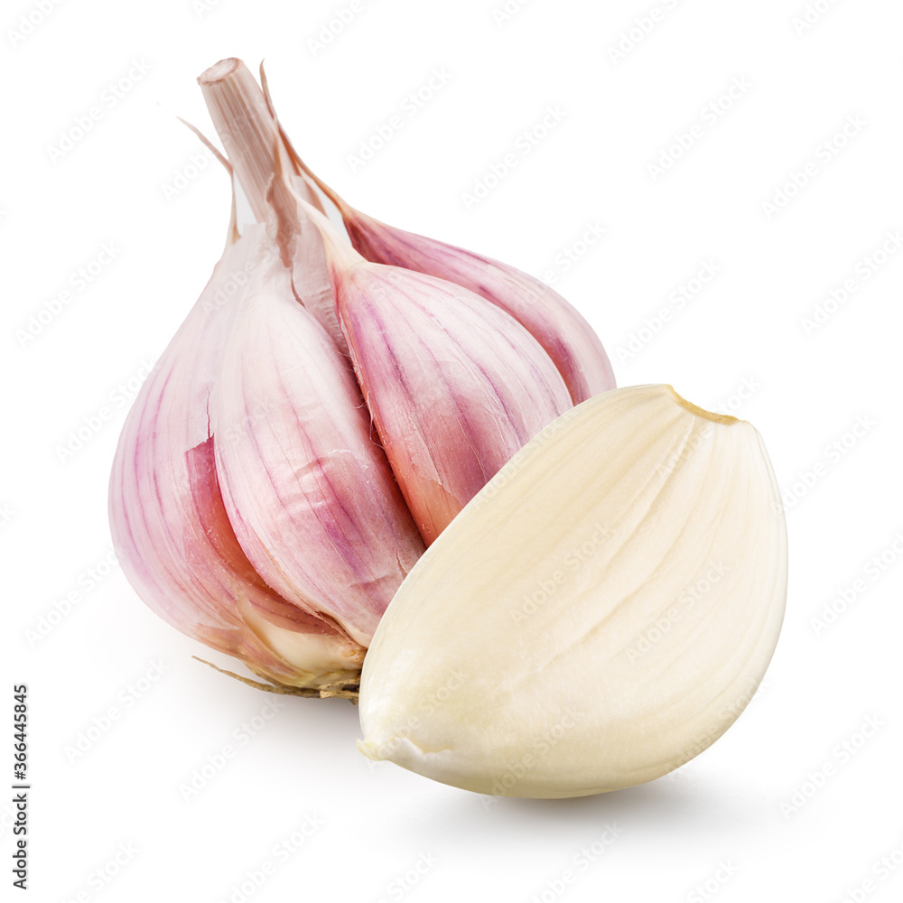 Obraz premium Garlic bulb and clove isolated. Garlic on white background. Garlic bulb, clove closeup.