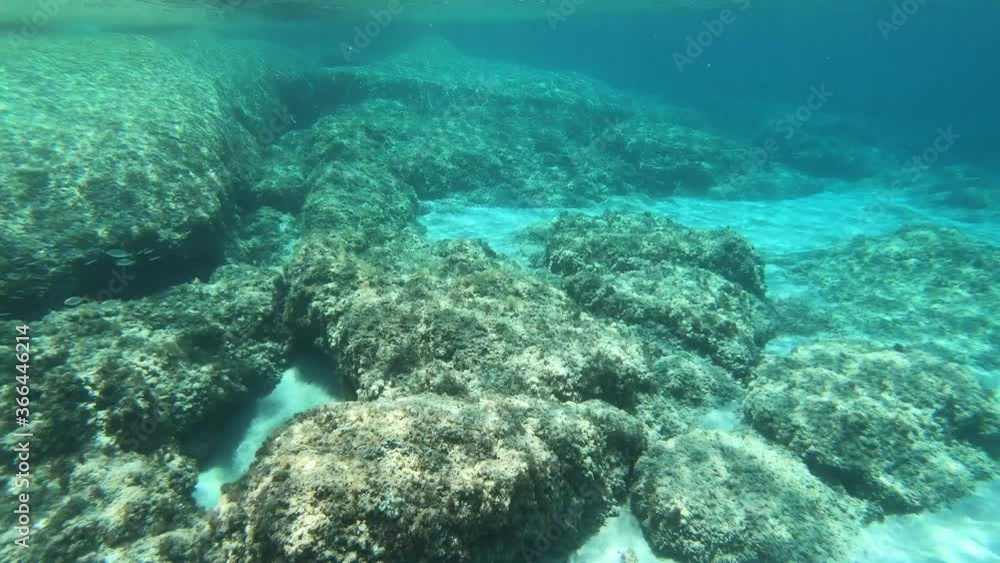Underwater view of Alghero turquoise sea with rocks, sand and fish. Sardinia Underwater view of Alghero turquoise sea with rocks, sand and fish. Sardinia