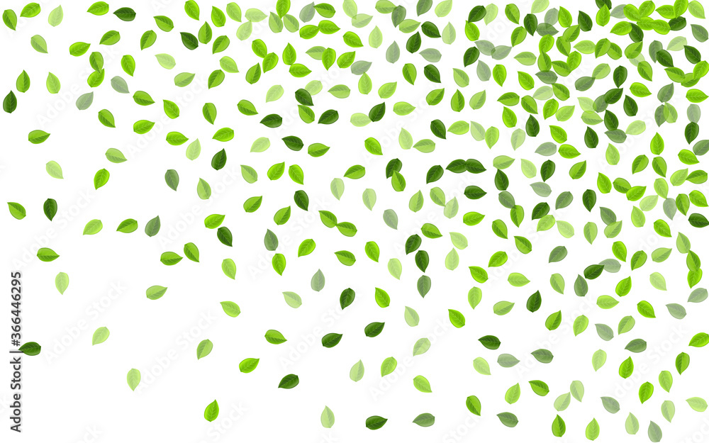 Swamp Leaf Nature Vector Illustration. Swamp Leaf Nature Vector Illustration.