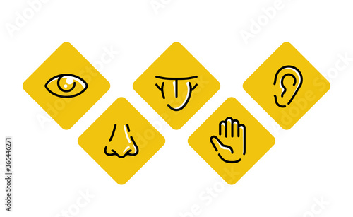 Five basic human senses - touch, sight, hearing, smell and taste - sensing organs - eye, mouth, ear, nose and hand, medical icons collection - set of isolated vector pictograms