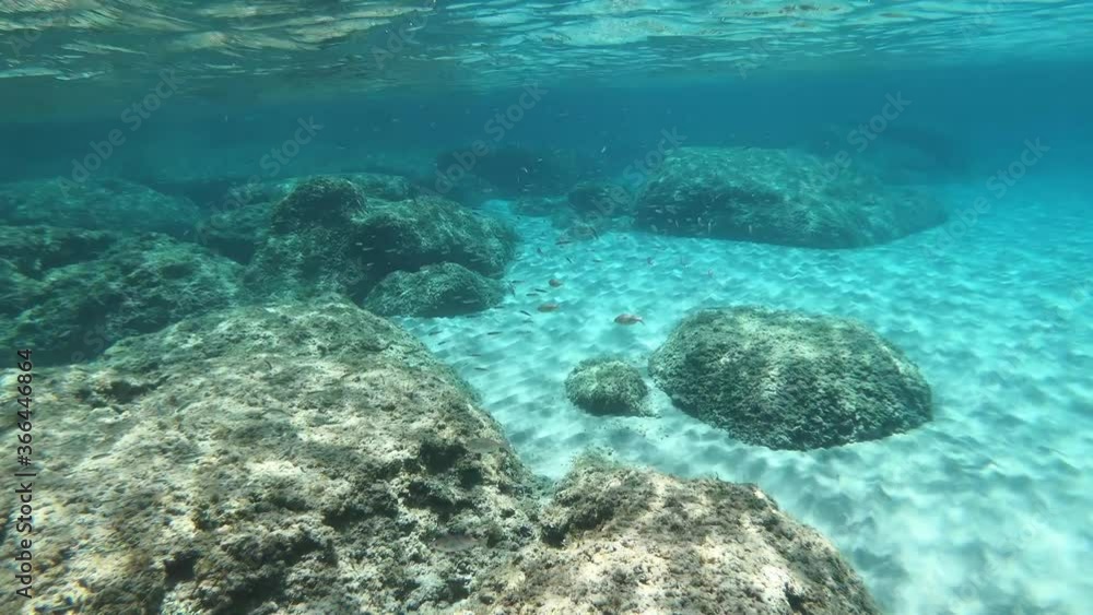 Underwater view of Alghero turquoise sea with rocks, sand and fish. Sardinia Underwater view of Alghero turquoise sea with rocks, sand and fish. Sardinia