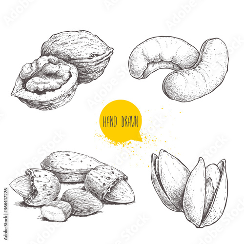 Hand drawn sketch style nuts set. Walnut, cashew, almonds and pistachios. Collection of healthy natural food. Vector illustrations isolated on white background.
