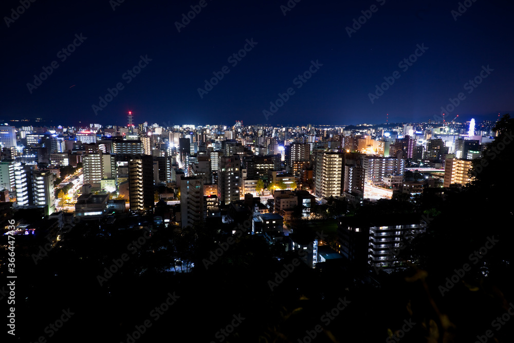 Obraz premium 城山より見る鹿児島市街地の夜景