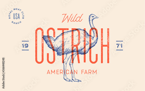 Ostrich. Template Label. Vintage retro print, tag, label with ostrich drawn, engraved old school style. Poster for Butchery meat shop with text, typography, ostrich silhouette. Vector Illustration