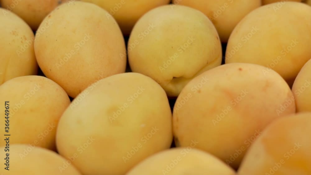 Useful Apricots Isolated Close-up.The Concept Of The Right Healthy Food Healthy And Seasonal Fruits. Useful Apricots Isolated Close-up.The Concept Of The Right Healthy Food Healthy And Seasonal Fruits.