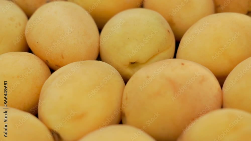 Healthy Fresh Apricots, Close-up. Rotation. Apricots, Fruits Are Isolated. The Concept Of Proper Vegan Nutrition Healthy Fresh Apricots, Close-up. Rotation. Apricots, Fruits Are Isolated. The Concept Of Proper Vegan Nutrition
