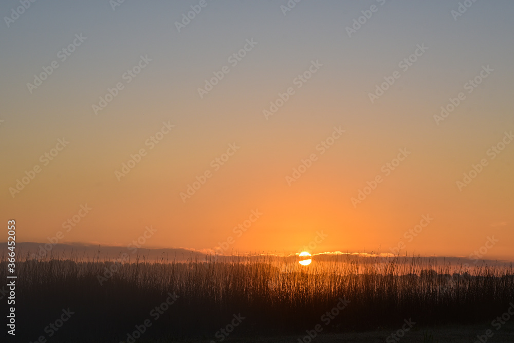 Sunrise over the reedlands of Den Helder.