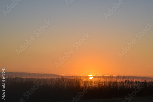 Sunrise over the reedlands of Den Helder.
