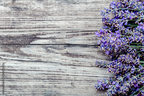 Fresh lavender flowers blossom on old rustic wooden board background with copy space for text. Flatlay french provence style lavender flower blossom. Lavender aromatherapy. Drying lavender flowers.