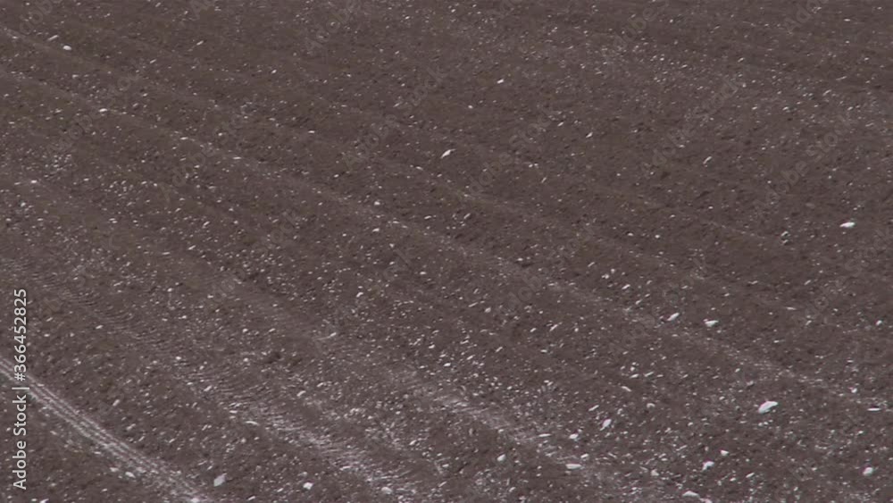 Sprinkling fertilizer on field. Sprinkling chalk. Farming. Flevopolder Netherlands. Agriculure. Sprinkling fertilizer on field. Sprinkling chalk. Farming. Flevopolder Netherlands. Agriculure.