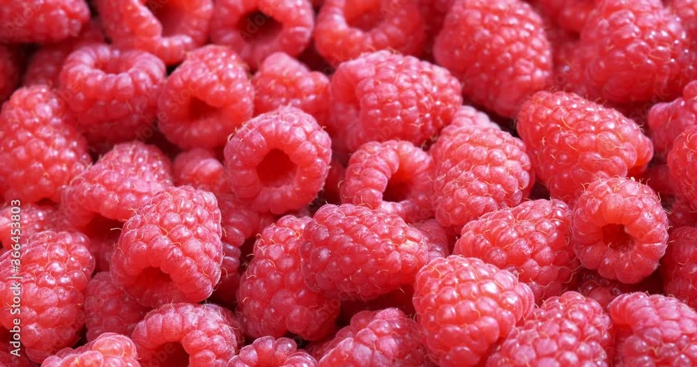 close-up fresh raspberries in a market close-up fresh raspberries in a market