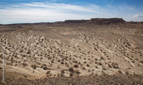 Israeli Desert views -a harsh desert and dry riverbed vegetation shows water path