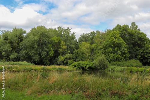 Ile de France - Seine-et-Marne - Servon - Etang de pêche