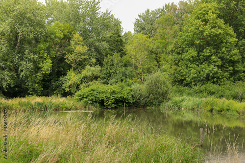 Ile de France - Seine-et-Marne - Servon - Rivière  : Le Réveillon