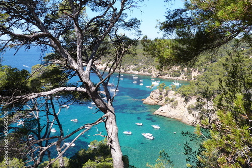 Sentier du littoral entre Saint-Cyr-sur-Mer et Bandol