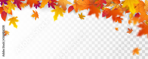 Autumn falling leaves background  Vector template.