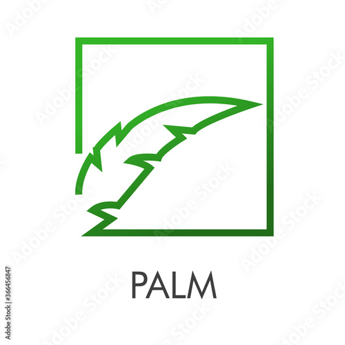 Logotipo abstracto con palabra Palm y una hoja árbol de palma lineal en cuadrado color verde