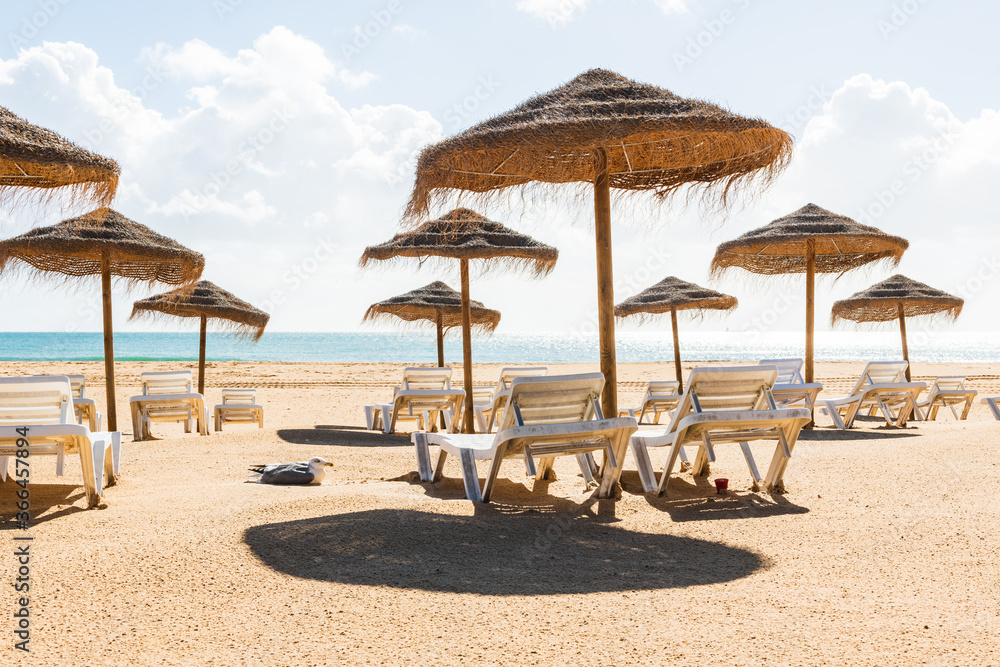 Sea gull lying besides empty deck chairs at beach during quarantine times