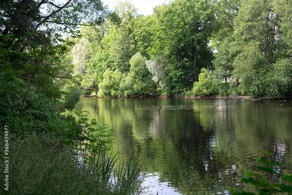 Fototapeta premium Trees reflected in the water of a pond in a city Park.