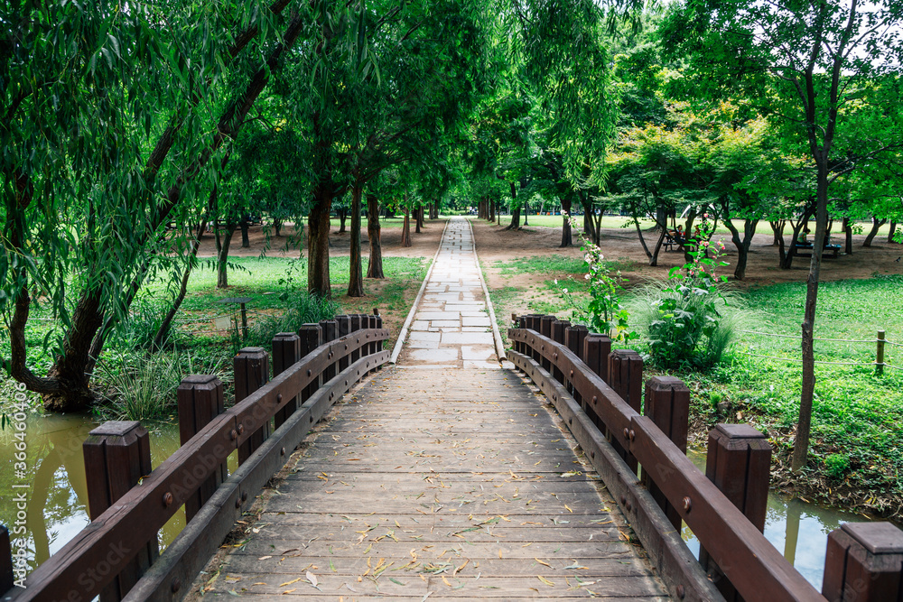 Wooden bridge with green trees at Seoul forest park in Korea