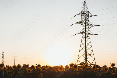 power lines at sunset
