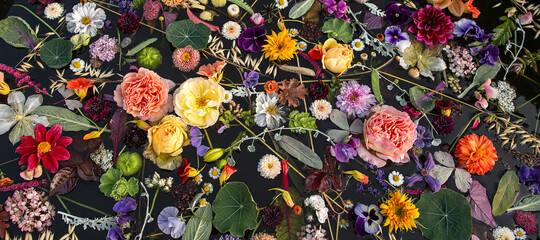 Multicolored flowers on the water surface ,floral banner ,top view .