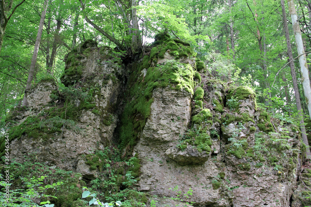 Felsen in der Fränkischen Schweiz Felsen in der Fränkischen Schweiz