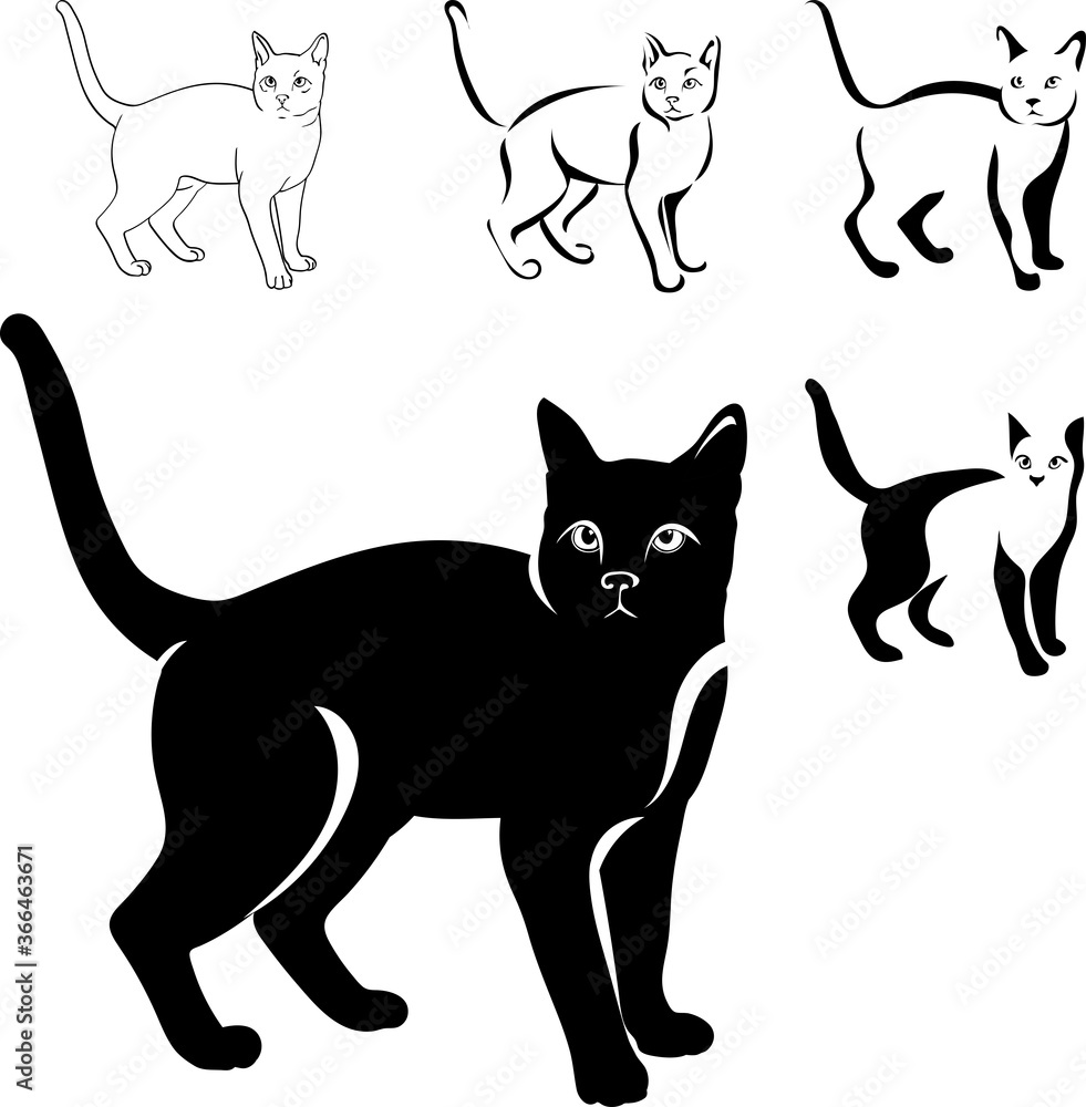 cats black image in various positions