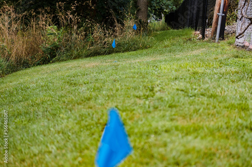 a blue surveyors flag and stake marks the location of a water pipe