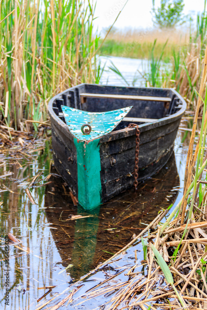 Old wooden boat in the reed on the riverbank Old wooden boat in the reed on the riverbank