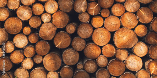 wooden logs lined up on top of each other