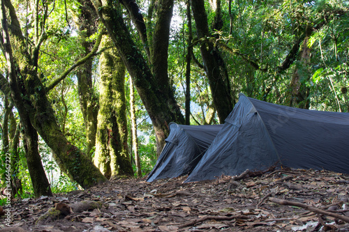 Campsite in the forest on the Atitlan Volcano 