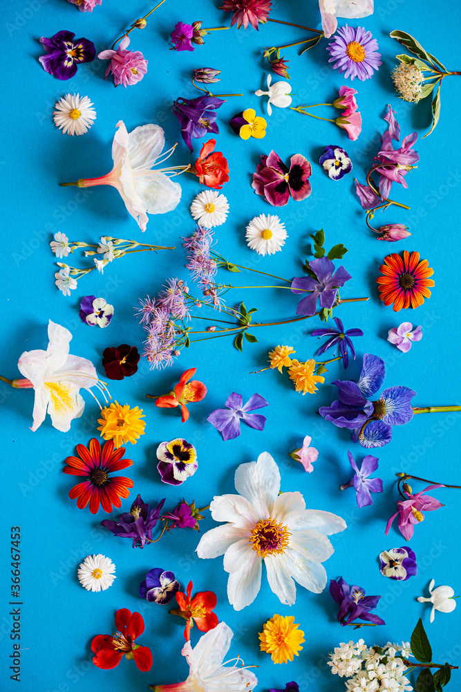 beautiful flowers on the blue background beautiful flowers on the blue background