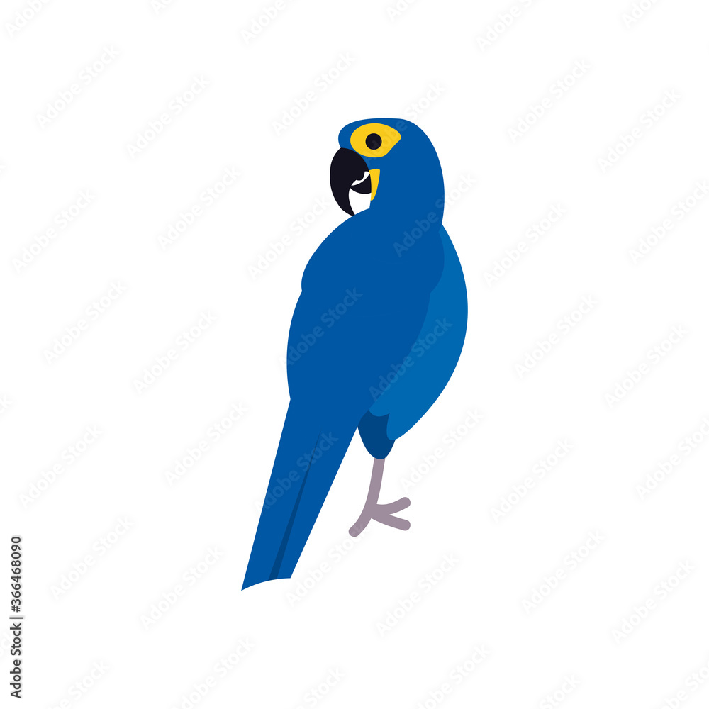 blue macaw bird flat style icon vector design