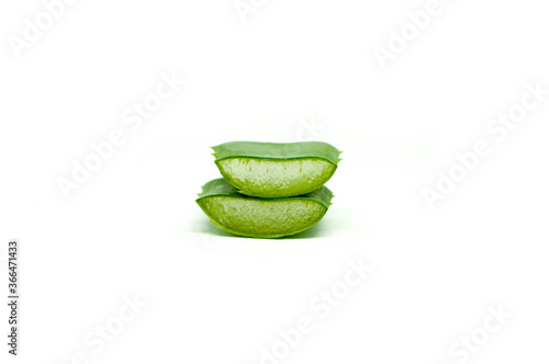Aloe Vera Cut Into Two Stacks Isolated on White Background Zoom in Lidah Buaya