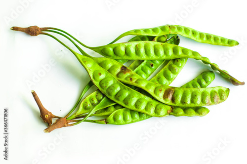 Two Clump of Bitter Bean Parkia Speciosa Isolated in White Background
