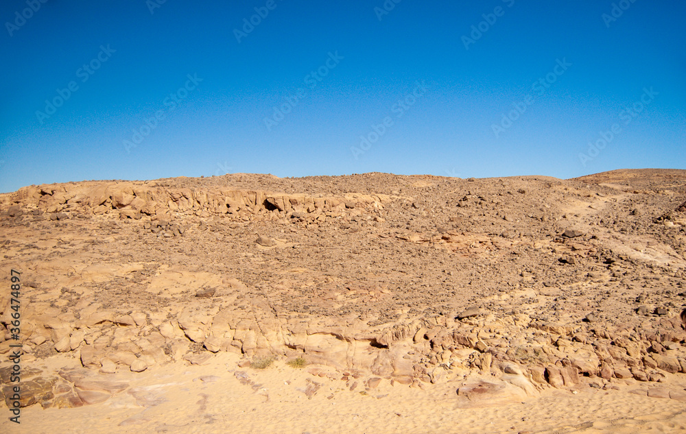 sand dunes in the desert