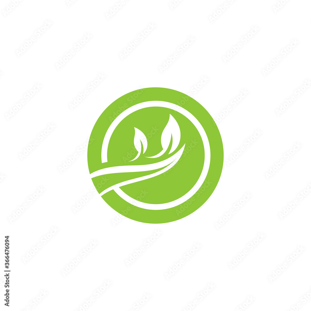 Leaf Logo Template vector symbol Leaf Logo Template vector symbol