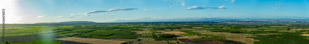 Obraz premium panoramic view of the vineyards in the summer, preparing the grapes for harvesting in September and making the rich wines of La Rioja Spain