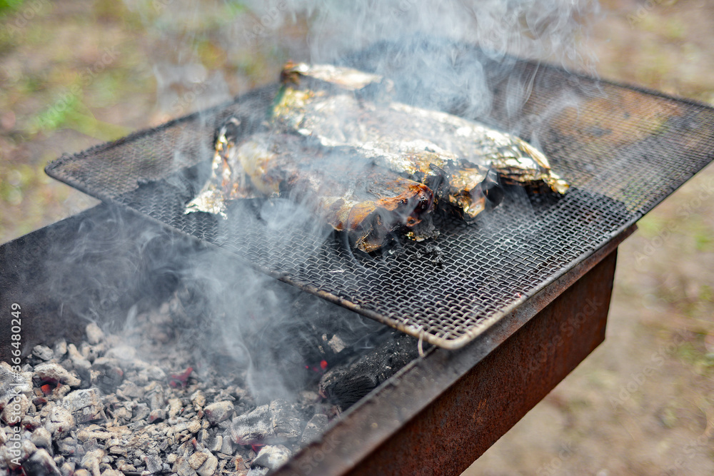 Baked fish in foil on a grill over a fire, picnic cooking. Fire and heat from wood in the grill in nature. Baked fish in foil on a grill over a fire, picnic cooking. Fire and heat from wood in the grill in nature.