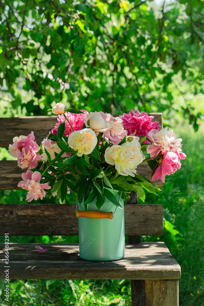 Bouquet of peony flowers in milk can on wooden garden bench