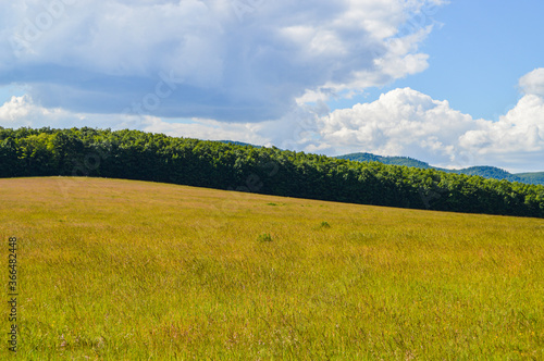 landscape with green field and blue sky