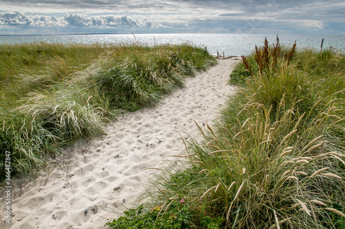 View of the sand dunes and sea on a summer sunny day. Baltic Sea  Heiligenhafen  Germany