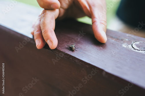 A man tries to catch a small black fly that is sitting. Killing an insect.