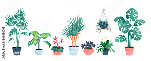 House plants home decor vector illustration set. Cartoon potted green plants flowers collection, houseplants in clay pot, hanging decorative flowerpots isolated on white