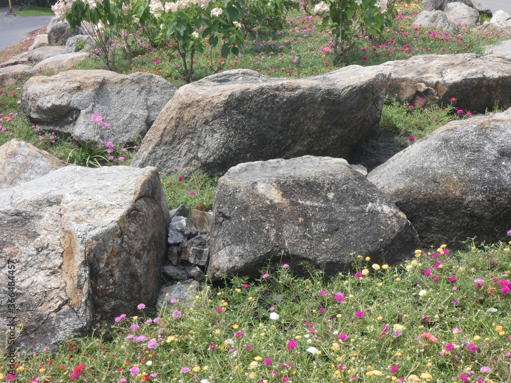 Multi colored flowers and stones Multi colored flowers and stones
