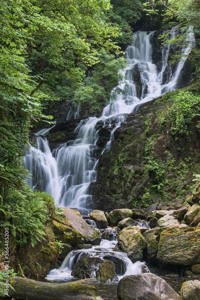 Torc waterfall, Killarney, Co Kerry, cascades down the mountain side over moss covered rocks amid the trees and bushes of Ireland's native woodland. A long exposure emphasises the flow of the water.